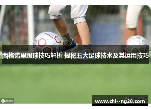 西格诺里踢球技巧解析 揭秘五大足球技术及其运用技巧