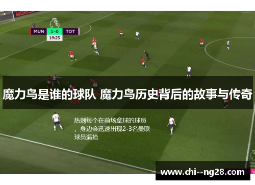 魔力鸟是谁的球队 魔力鸟历史背后的故事与传奇