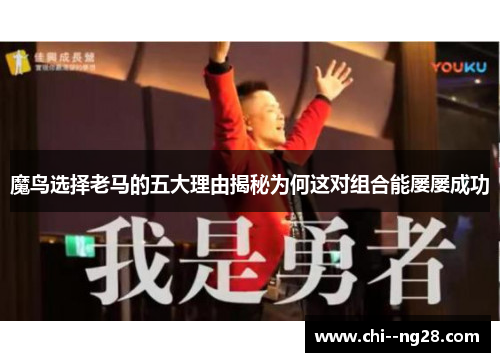 魔鸟选择老马的五大理由揭秘为何这对组合能屡屡成功 魔鸟选择老马的五大理由揭秘为何这对组合能屡屡成功