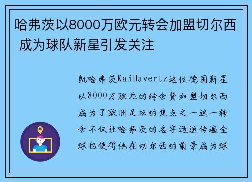 哈弗茨以8000万欧元转会加盟切尔西 成为球队新星引发关注 哈弗茨以8000万欧元转会加盟切尔西 成为球队新星引发关注